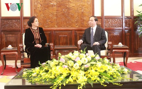 President Tran Dai Quang receives new Ambassadors - ảnh 7