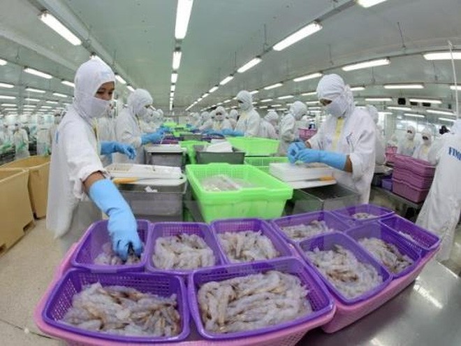 越南出口水产品从越南与欧亚经济联盟自贸协定中获利最大 - ảnh 1