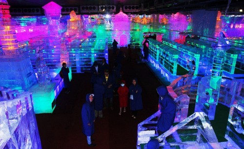 Ice sculpture exhibition at Dam Sen Park - ảnh 1