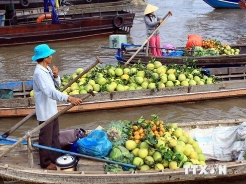 Mekong Delta International Agriculture Festival kicks-off with presser - ảnh 1