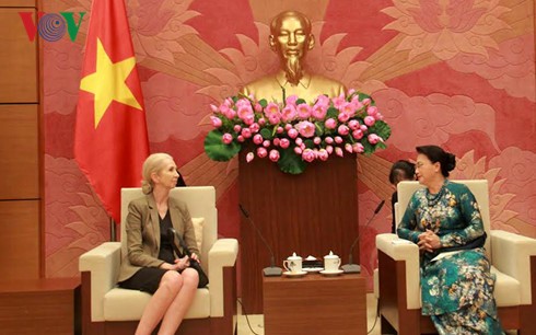 NA Chairwoman Nguyen Thi Kim Ngan receives Ambassadors of Norway and the Czech Republic  - ảnh 1