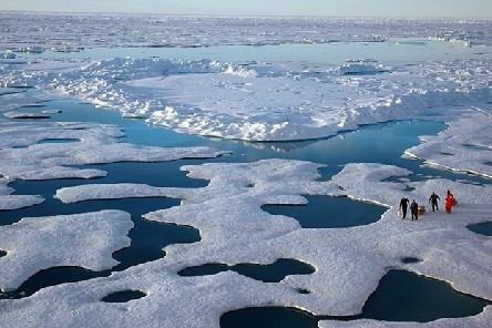 Humans: the main cause of Arctic sea ice melting - ảnh 1