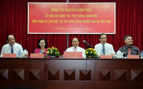Prime Minister works with Vietnam Rubber Group - ảnh 1