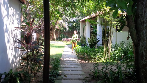 Homestay service in Hoi An attract visitors - ảnh 2