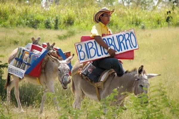 A library on a burro’s back - ảnh 1