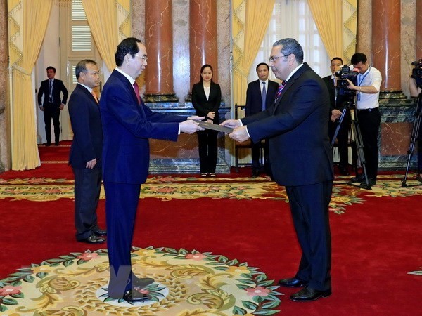 President Tran Dai Quang receives newly-accredited ambassadors - ảnh 2