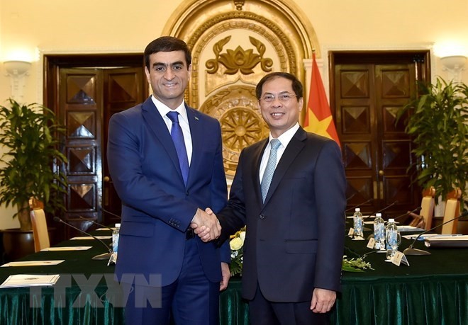 Vietnamese, Turkmen foreign ministries hold political consultation - ảnh 1
