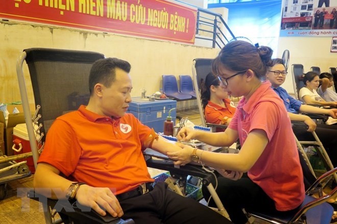 Blood donation activities held across Vietnam - ảnh 1