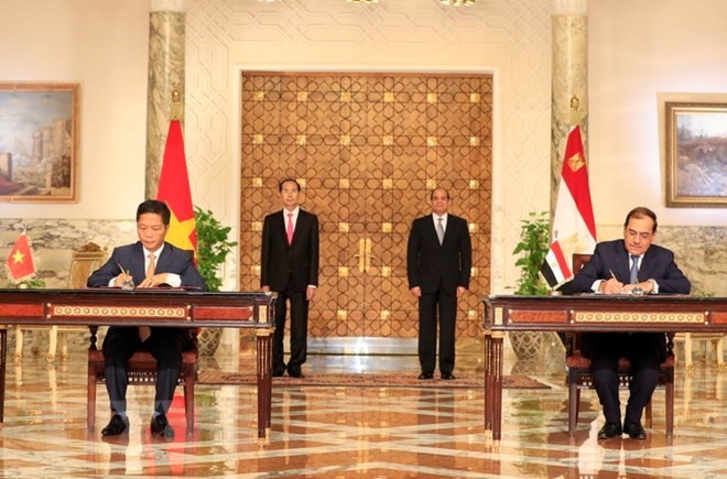 Vietnam, Egypt issue joint statement - ảnh 1