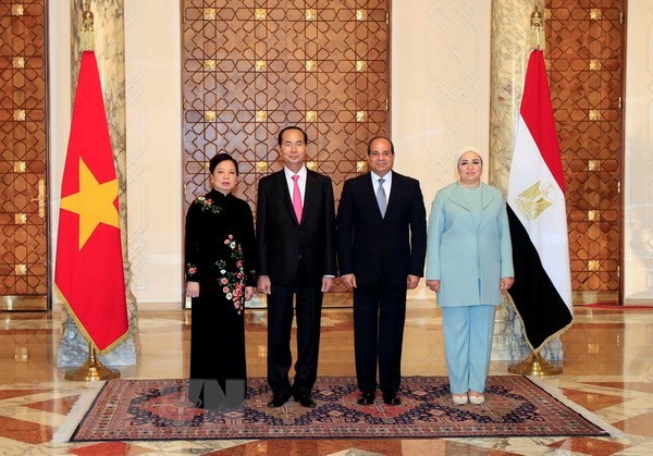 President’s visits to Ethiopia, Egypt create momentum for bilateral ties - ảnh 2