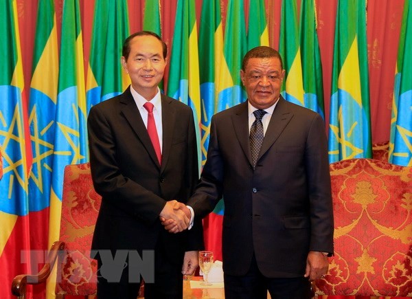 President’s visits to Ethiopia, Egypt create momentum for bilateral ties - ảnh 1