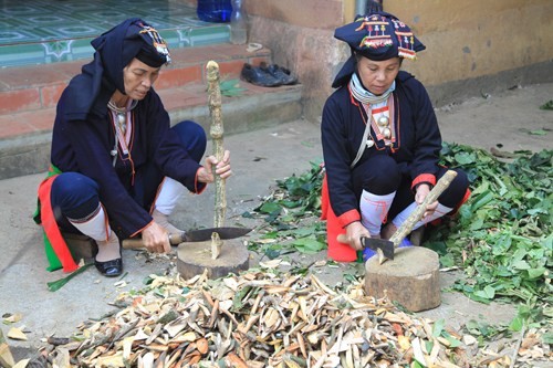 Medicinal herbs of the Dao people - ảnh 2