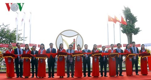 Vietnam-Japan Industrial Park inaugurated on 45th anniversary of diplomatic ties - ảnh 1
