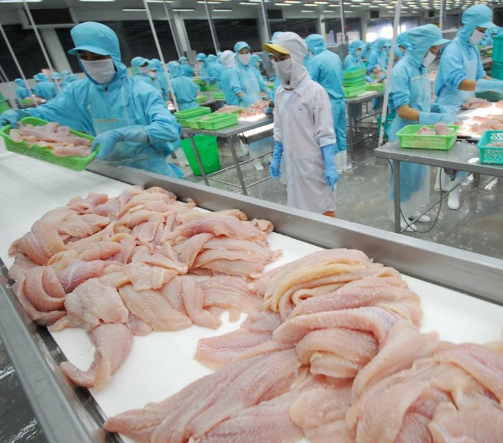 Vietnam builds sustainable fisheries industry  - ảnh 1