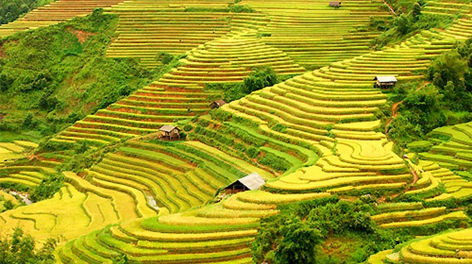 Hoang Su Phi terraced fields, masterpieces of minority groups - ảnh 2