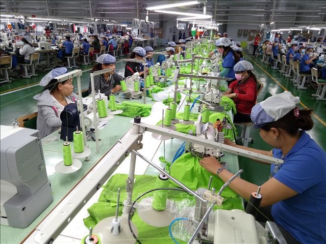 Apparel sector earns 36 billion USD from exports in 2018 - ảnh 1