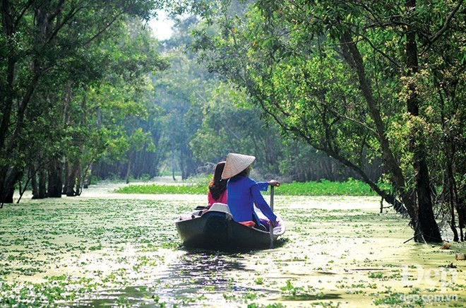 An Giang welcomes 200,000 visitors in January - ảnh 1