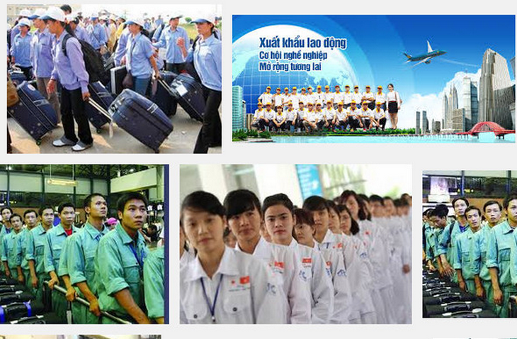 Countries keen to recruit Vietnamese workers - ảnh 1