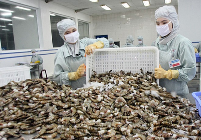 Fishery sector targets 10 billion USD export in 2019   - ảnh 1