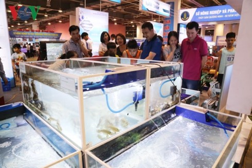 Exhibition celebrates fisheries sector’s 60th anniversary - ảnh 1