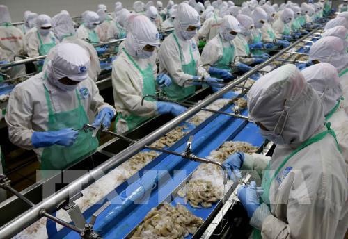 Vietnam targets 10 billion USD from seafood exports in 2019 - ảnh 1