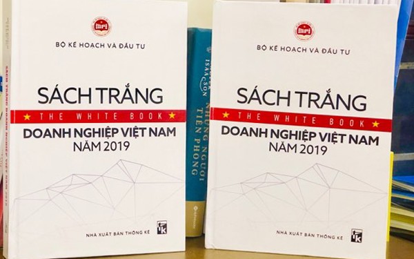 1st White Book on Vietnamese businesses 2019 released  - ảnh 1