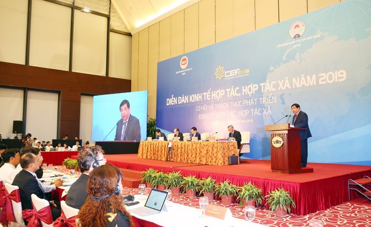 Collective economy strengthened  - ảnh 1
