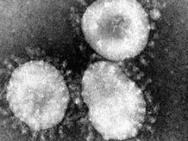 Egypt confirms coronavirus case, first in Africa - ảnh 1