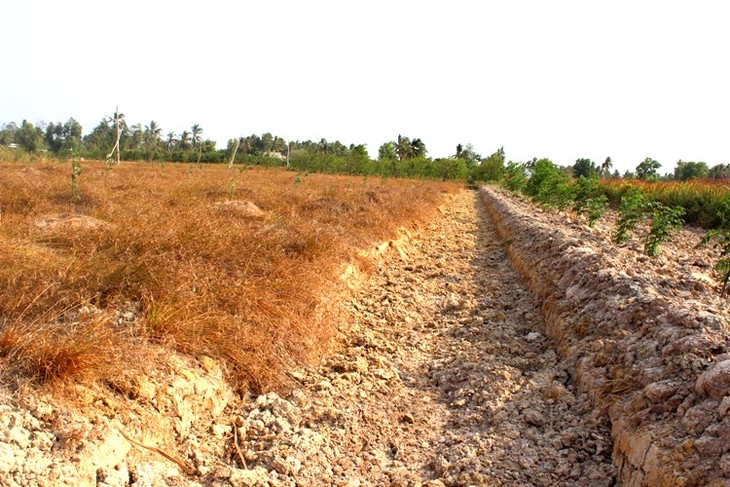 EU helps people affected by drought, saline intrusion in Vietnam - ảnh 1