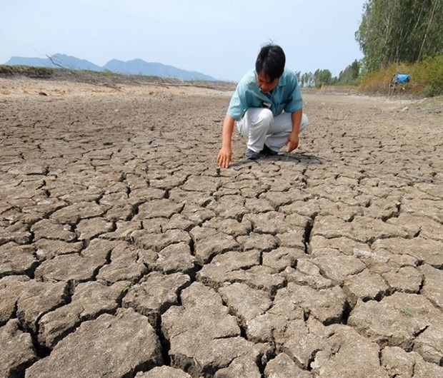 Japan provides 3.9 mln USD to help manage flood, drought in lower Mekong basin - ảnh 1