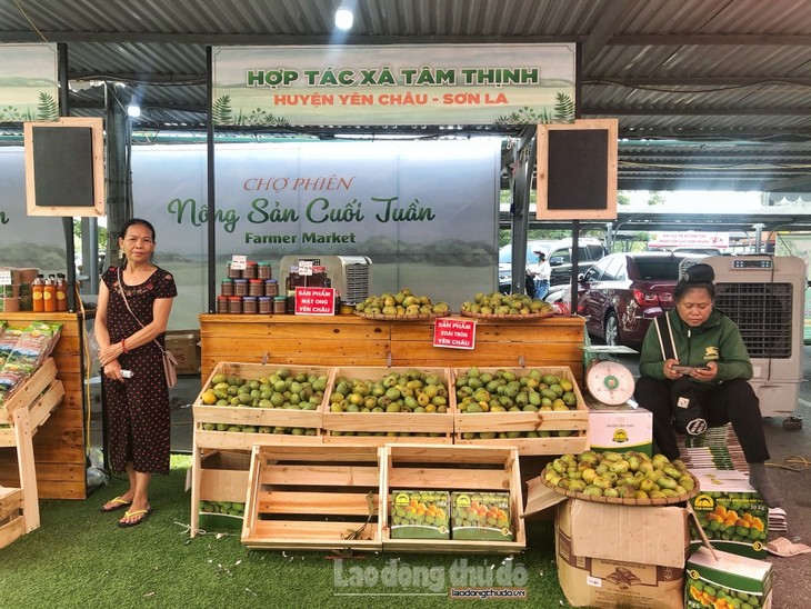 Localities promote summer agricultural products - ảnh 1