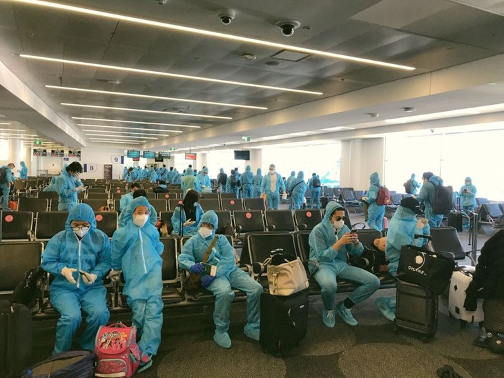 More Vietnamese citizens flown home from Australia - ảnh 1