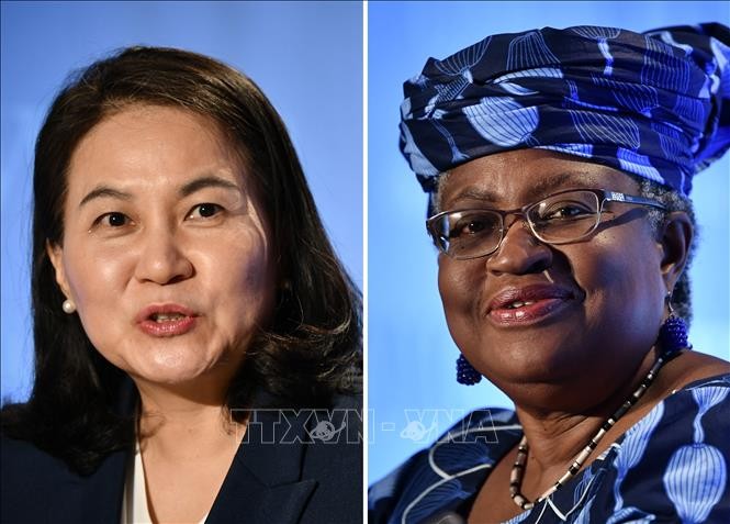  WTO to be led by female for the first time - ảnh 1