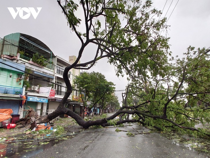 Storm Molave ravages Vietnam's central region - ảnh 4