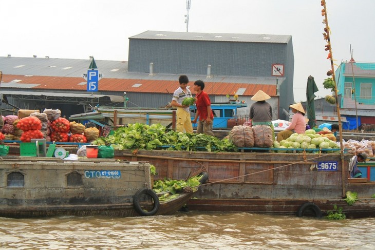 Bucket list experiences for tourists visiting Vietnam - ảnh 2