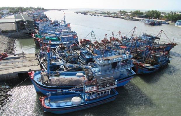 Vietnam makes progress in fight against IUU fishing - ảnh 1