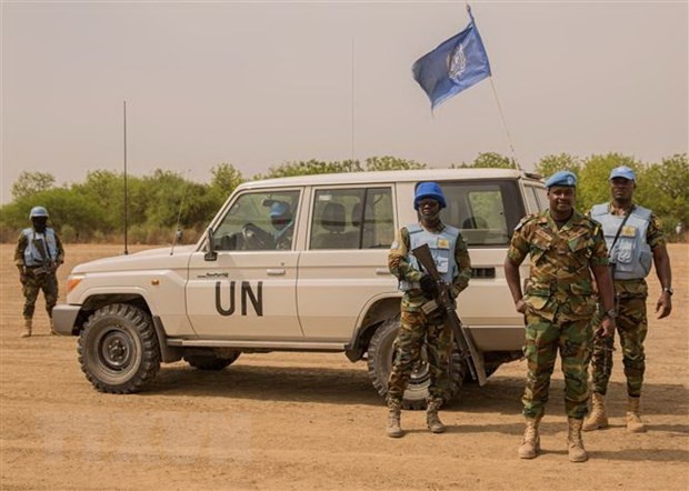 UN members agree 6.5 billion USD for peacekeeping budget - ảnh 1