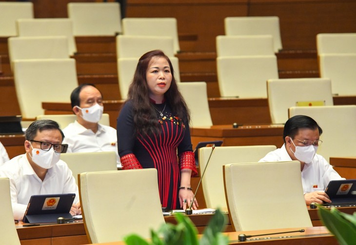Lawmakers discuss COVID-19 fight, support for affected people - ảnh 2