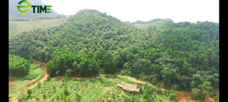 Hon Mu farm, where people live in harmony with nature - ảnh 1