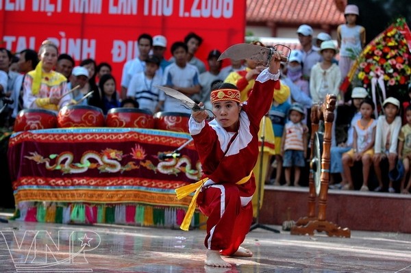 Traditional opera, Binh Dinh martial arts to seek UNESCO recognition - ảnh 2