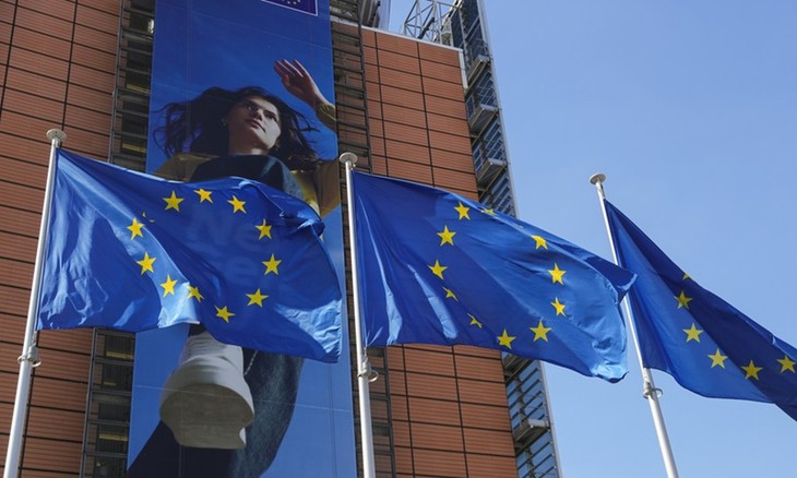 EU proposes trade sanction plan to counter foreign coercion - ảnh 1