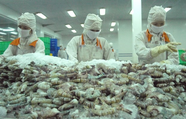 Shrimp remain export staple among fishery products - ảnh 1