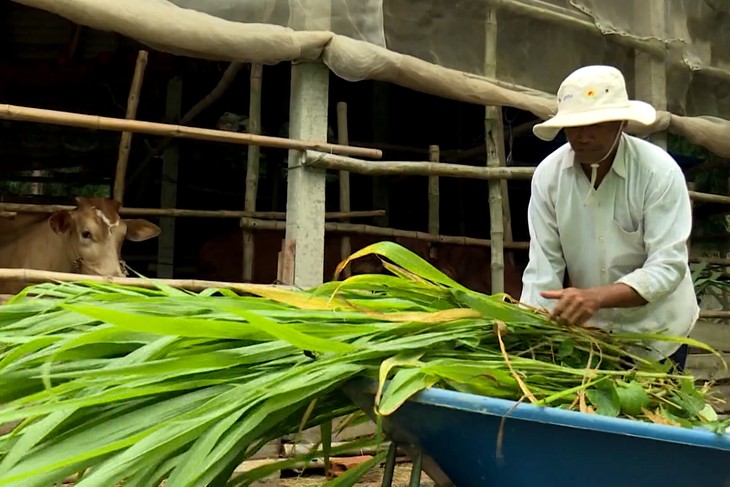 New-style rural building program makes Khmer ethnics’ life easier - ảnh 2