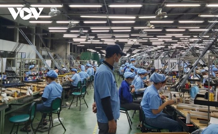 Businesses resume production after Tet holiday - ảnh 1