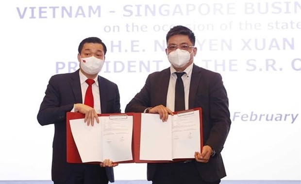 Vietnamese, Singaporean firms sign cooperation deals worth nearly 11 billion USD - ảnh 1