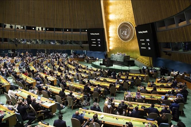 UN calls on countries to improve preparedness in response to future pandemics - ảnh 1