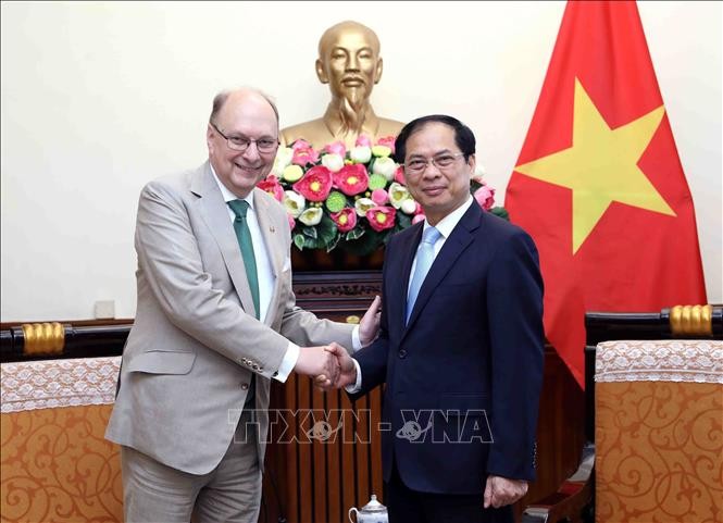 FM says Vietnam places importance on multi-faceted cooperation with Sweden - ảnh 1
