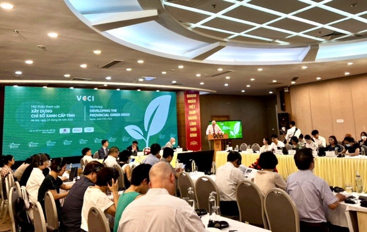Provincial green index to be introduced to improve growth quality - ảnh 1