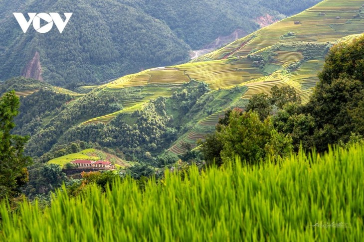 Woman preserves picturesque terraced fields in Mu Cang Chai - ảnh 4