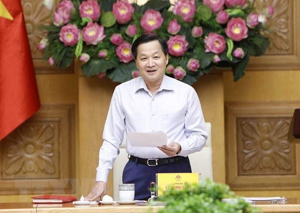 Deputy PM calls for financial, fiscal policy solutions - ảnh 1